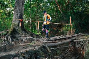 BIB: 
                            <button type="button" onclick="openModal(27543283)" class="btn btn-primary btn-sm float-right btn-popup" data-toggle="modal" data-target=".modal-high-quality">
                        <i class="fas fa-shopping-cart"></i> Add to Cart
                    </button>
                                            <button type="button" onclick="isThisMe(27543283, true)" class="btn btn-success btn-sm float-right btn-popup btn-isme hidden" data-toggle="tooltip" data-placement="bottom" title="นี่คือรูปของคุณใช่ไหม คลิกที่นี่เพื่อเอาเข้าอัลบั้ม">
                        <i class="fas fa-plus"></i> Add to album
                    </button>
                    <button type="button" onclick="isThisMe(27543283, false)" class="btn btn-warning btn-sm float-right btn-popup btn-isnotme hidden">
                        <i class="fas fa-ban"></i> Remove from album
                    </button>